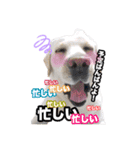 365日小梅日和（個別スタンプ：15）