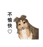 ほんわか！犬スタンプ（個別スタンプ：3）