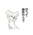 ほんわか！犬スタンプ（個別スタンプ：8）