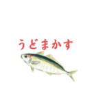 宮崎県北浦方言（個別スタンプ：2）