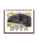 頑張れダイナ君（個別スタンプ：8）