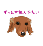 ゆるい犬猫たち（個別スタンプ：8）