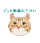 ゆるい犬猫たち（個別スタンプ：9）