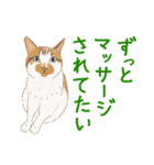 ゆるい犬猫たち（個別スタンプ：10）