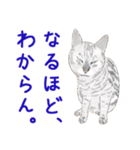 ゆるい犬猫たち（個別スタンプ：12）