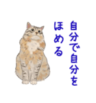 ゆるい犬猫たち（個別スタンプ：16）