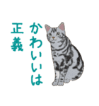 ゆるい犬猫たち（個別スタンプ：17）