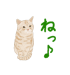 ゆるい犬猫たち（個別スタンプ：18）