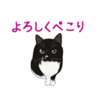 ゆるい犬猫たち（個別スタンプ：19）