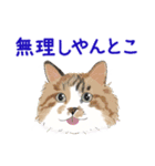 ゆるい犬猫たち（個別スタンプ：24）