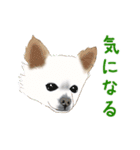 ゆるい犬猫たち（個別スタンプ：26）