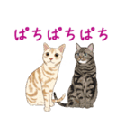 ゆるい犬猫たち（個別スタンプ：27）