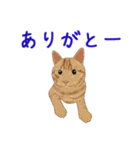 ゆるい犬猫たち（個別スタンプ：32）