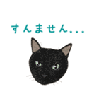 ゆるい犬猫たち（個別スタンプ：33）