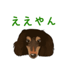 ゆるい犬猫たち（個別スタンプ：34）