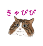 ゆるい犬猫たち（個別スタンプ：35）