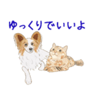 ゆるい犬猫たち（個別スタンプ：40）