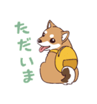 柴犬詩音ちゃんの日常的に使えるスタンプ（個別スタンプ：16）