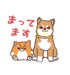 柴犬詩音ちゃんの日常的に使えるスタンプ（個別スタンプ：28）