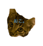 土偶とかのやつ。（個別スタンプ：7）