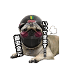 すももん家。（個別スタンプ：2）