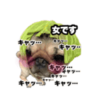 すももん家。（個別スタンプ：4）