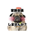 すももん家。（個別スタンプ：5）