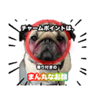 すももん家。（個別スタンプ：7）