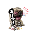 すももん家。（個別スタンプ：11）
