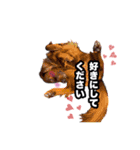 じじんち家（個別スタンプ：3）
