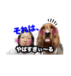 じじんち家（個別スタンプ：6）