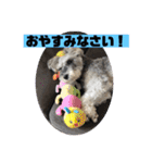 ミニシュナアルアル③（個別スタンプ：5）