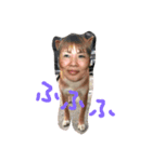 じゅん、じゅん（個別スタンプ：6）