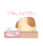 可愛いお犬さん集まれ！イラストスタンプ！（個別スタンプ：3）