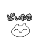 ラフに使えるにゃんちゃん（個別スタンプ：3）
