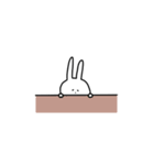 うさぎだけ。文字なし。（個別スタンプ：23）