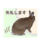 うさぎのやまとさん【敬語版】（個別スタンプ：34）
