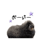 ふわふわとつるつる（個別スタンプ：12）