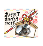 にゃんにゃんこスタンプ1（個別スタンプ：8）