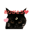 黒猫ぼたもちくん（ぼっちゃん）（個別スタンプ：1）