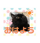 黒猫ぼたもちくん（ぼっちゃん）（個別スタンプ：2）