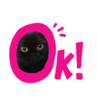 黒猫ぼたもちくん（ぼっちゃん）（個別スタンプ：3）