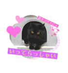 黒猫ぼたもちくん（ぼっちゃん）（個別スタンプ：6）