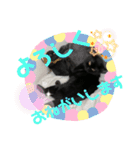 黒猫ぼたもちくん（ぼっちゃん）（個別スタンプ：9）