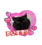 黒猫ぼたもちくん（ぼっちゃん）（個別スタンプ：13）