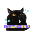 黒猫ぼたもちくん（ぼっちゃん）（個別スタンプ：14）