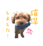 リンとユウのスタンプ8（個別スタンプ：16）
