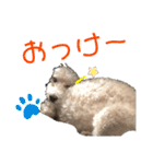 リンとユウのスタンプ8（個別スタンプ：22）