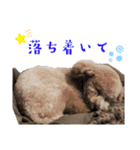 リンとユウのスタンプ8（個別スタンプ：27）