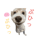 リンとユウのスタンプ8（個別スタンプ：29）